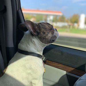 Meet your Posher, Serena